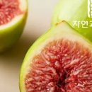 하나농수산