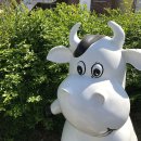 와우목장 이미지