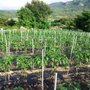 정림농장 이미지