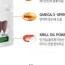 덴탈플러스 이미지