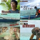 조개사냥 - 옹진군 영흥로 109-12 | 조개사냥