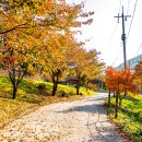 [강원도 원주] 치악산(1288m) 이미지