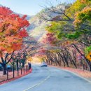 11월23일 제50차 정기산행 내장산 이미지