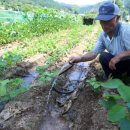 김삿갓면-41 이미지