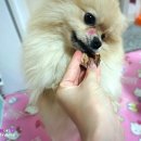 은혜네반찬 이미지
