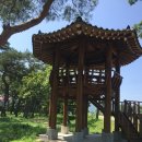 칠곡면신포숲 이미지