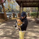 아름켄넬 | 유기견 임시보호 보리일기 13 : 산책 첫 발걸음을 떼다 🦮