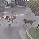 울산동물영상센터 이미지