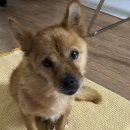 민데이짐 | [호주워홀] 출국 디데이. 중국 동방항공 멜번행 난징경유 후기..^^