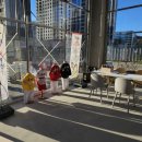 고산 품 태권도장 이미지