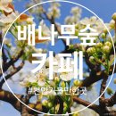 이화숲 | 배꽃 피는 계절! 천안 가볼만한곳 '배나무숲' 미리 다녀온 후기 (별관 신축 &amp; 메뉴 추천)