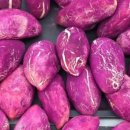 철원고구마 이미지