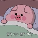 정쭈삼