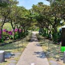 제주허브동산 이미지