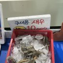 썬블루 이미지