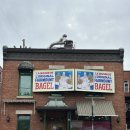 ST 124 | 비교(페어몬트 베이글 Fairmount Bagle, 생 비아토 베이글 St-Viateur Bagel) / 근처 카페 올림피코 추천