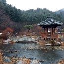 축령산아침 이미지