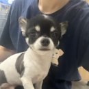 미르아이병원 이미지