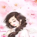 날밤PC Daum카페