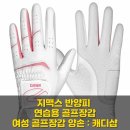 지맥스 | 지맥스 반양피 골프장갑, 이 여성 연습용 장갑 쓰기 전엔 몰랐어요