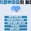 엔젤치과의원 네이버블로그