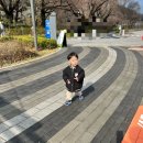 코끼리유치원 | 과천 서울대공원 동물원 전동웨건 대여/ 테마가든 관람 후 코끼리열차 탑승 후기