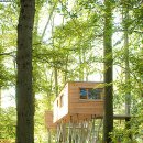 나무숲펜션 이미지