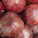 양덕동602 이미지