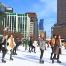 스케이트장 이미지