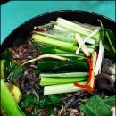 김포한탄강 이미지