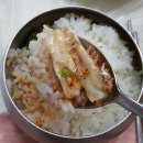 미조항 음식특구 | 남해 미조항 맛집 미조식당 후기