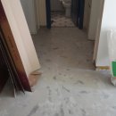 화이트 빌 이미지