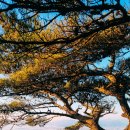 하단동171 이미지