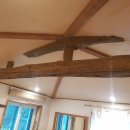 하도조아 이미지