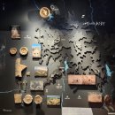익산지구문화유적지관리사업소 상록회 | 익산여행 : 사자암을 품은 미륵사지 (익산9경중1경)