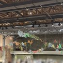 금성문화사 - 동구 백서로125번길 17 | 금성문화사