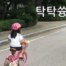 강서구-50 이미지