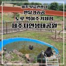 대일목장 | 제주 자연생태공원 반달가슴곰,노루 먹이체험이 무료. 제주 아이와 가볼 만한 곳