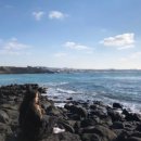 상창농장 이미지