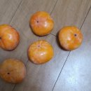 까치고시원
