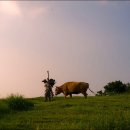 감천 소리 이미지