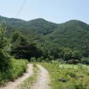 신월보건진료소 네이버블로그