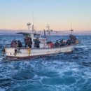 울진해양경찰서 이미지