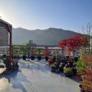 양덕동104 이미지