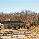 홍천강공인중개사사무소 이미지