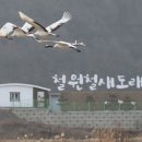 두루미202 이미지