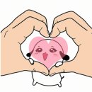 카엔조이 이미지