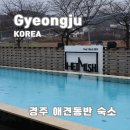 헤이미쉬 | 경주 펜션 추천 헤이미쉬 애견동반 숙소 후기