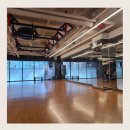 스텔스짐 이미지