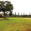 인평장어메기집 이미지